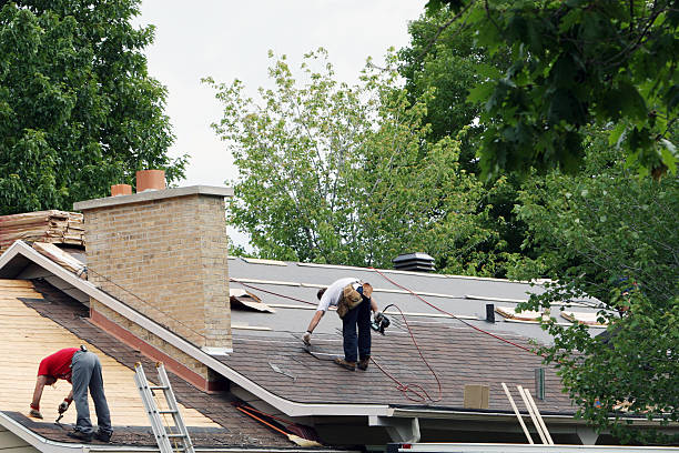 Best Roof Moss and Algae Removal  in Whidbey Island Station, WA